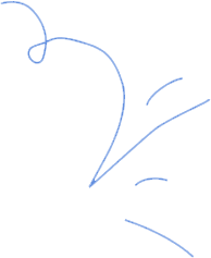 Experience the Thrill of 20+ Sports - 华体会